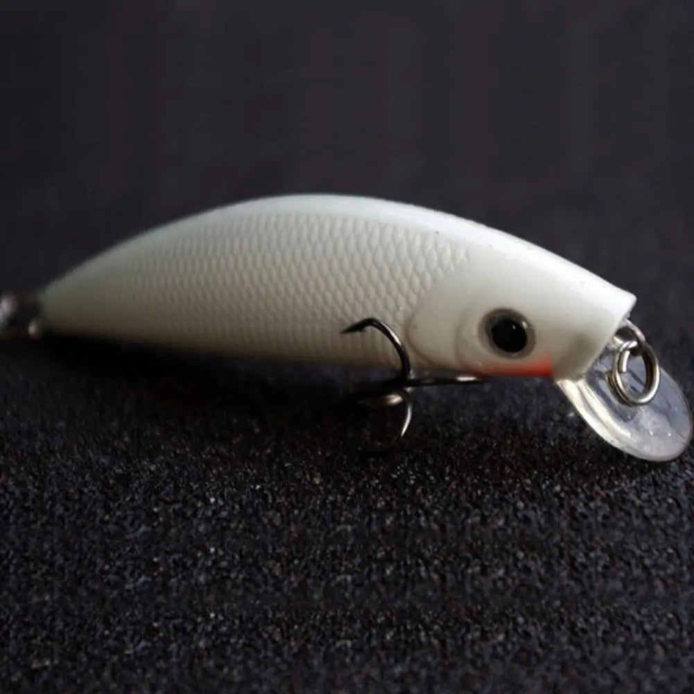 Night Fishing Bait Kit