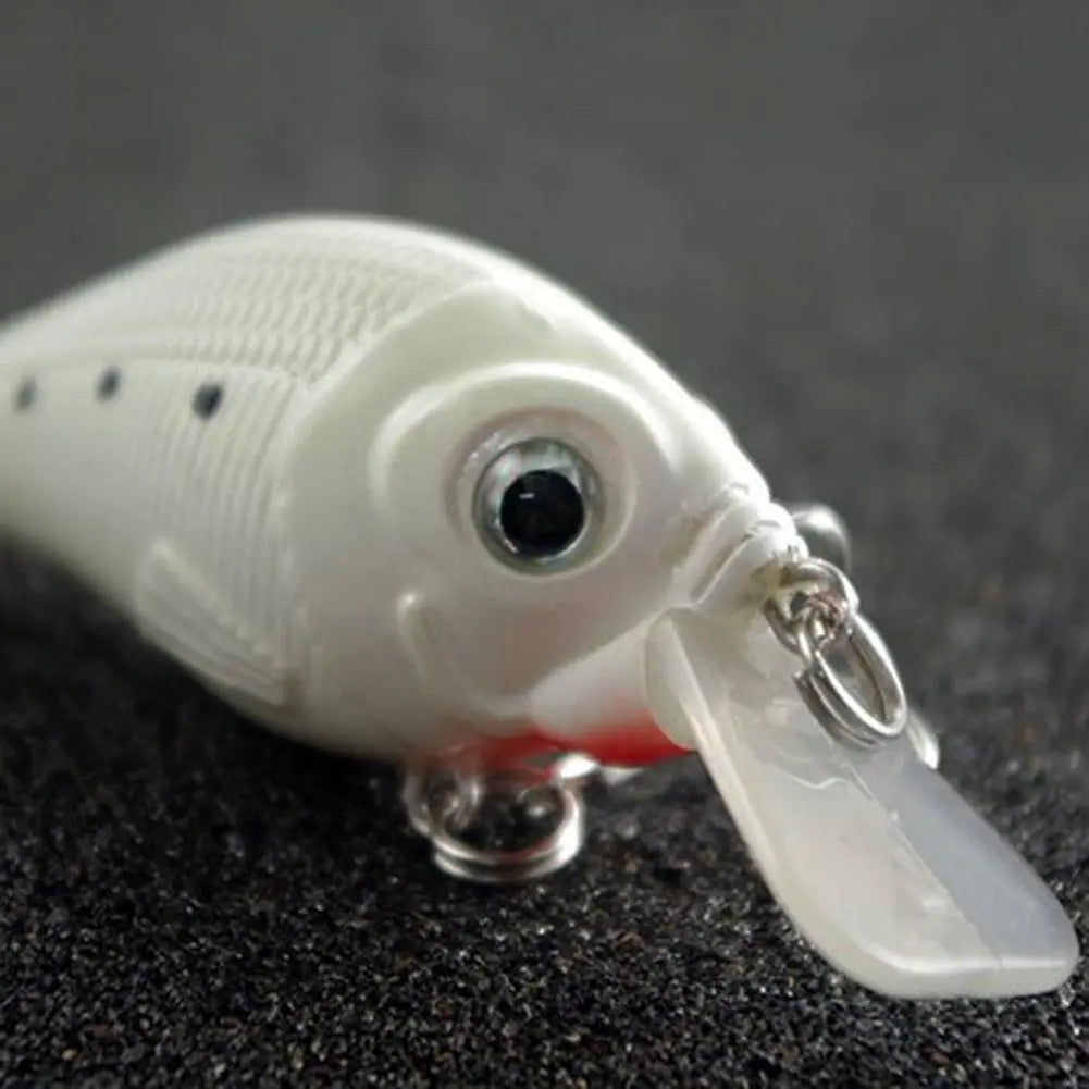 Night Fishing Bait Kit