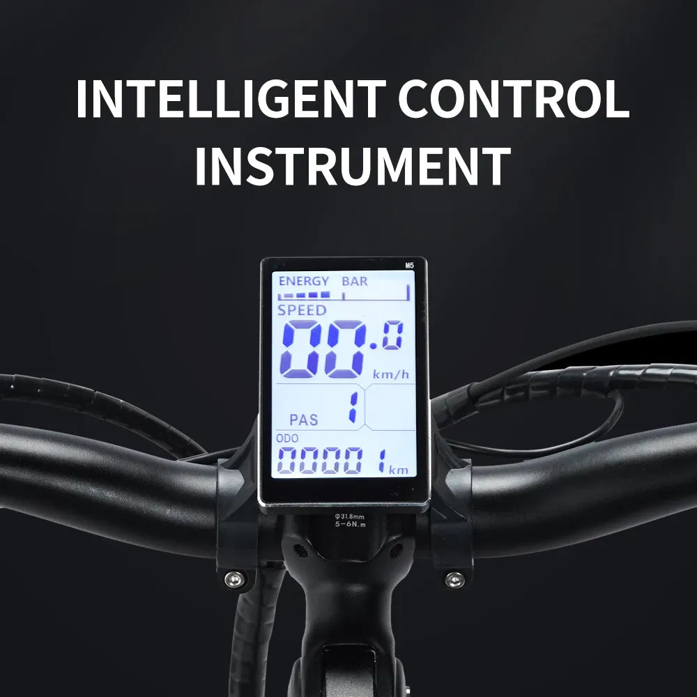 Electric Bike Fat Tire