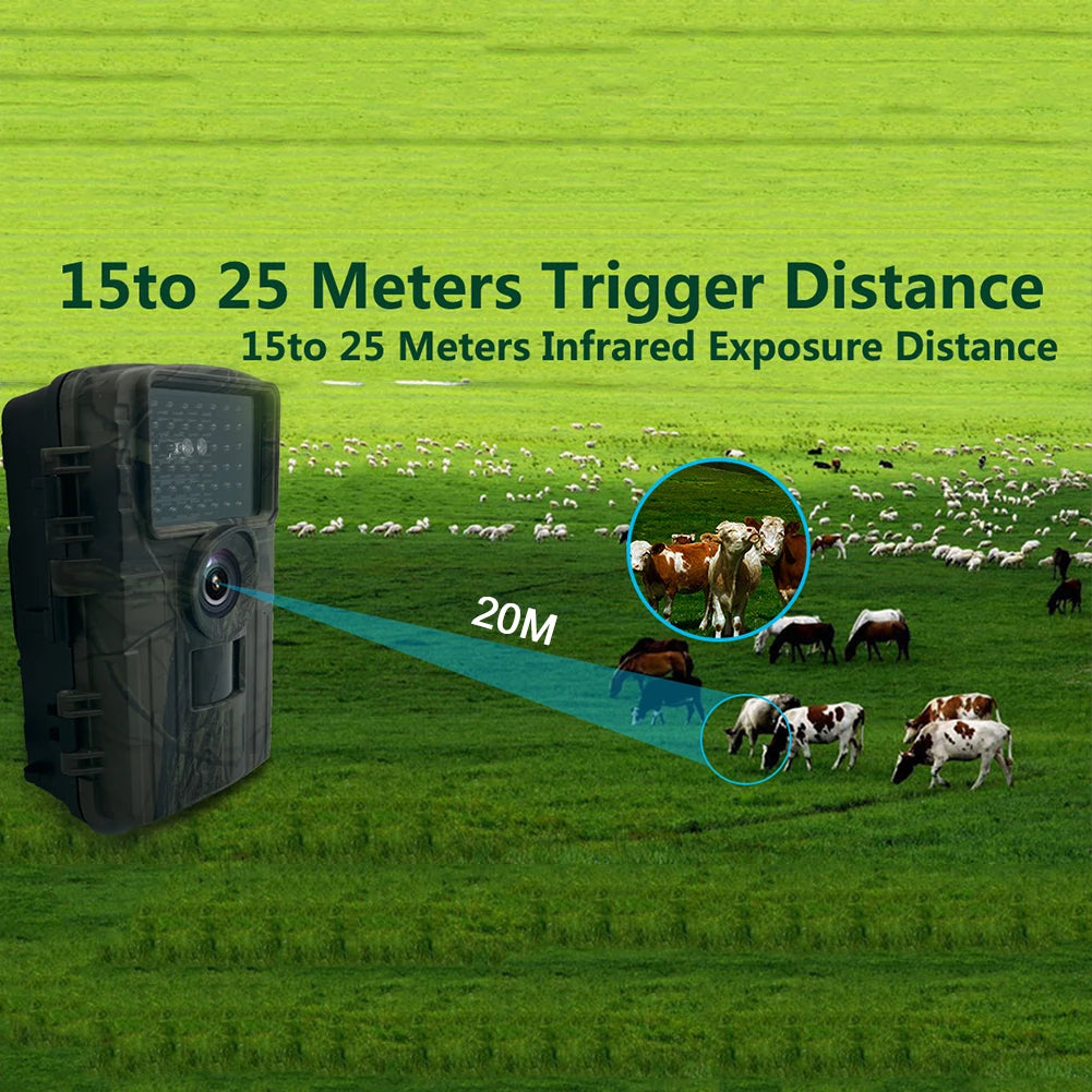 Trail Hunting Camera