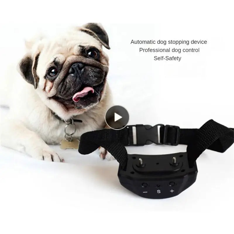 Anti Bark Collar