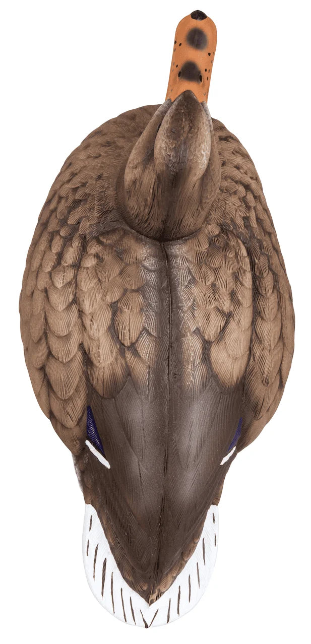 Duck Decoys 12 Pack